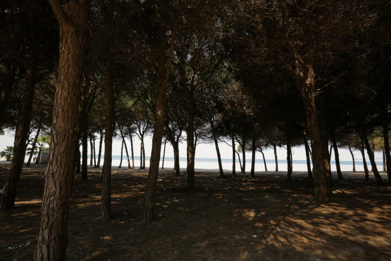 Pine-Tree Apt W/ Private Garden 50 M From The Sea Golem  Εξωτερικό φωτογραφία