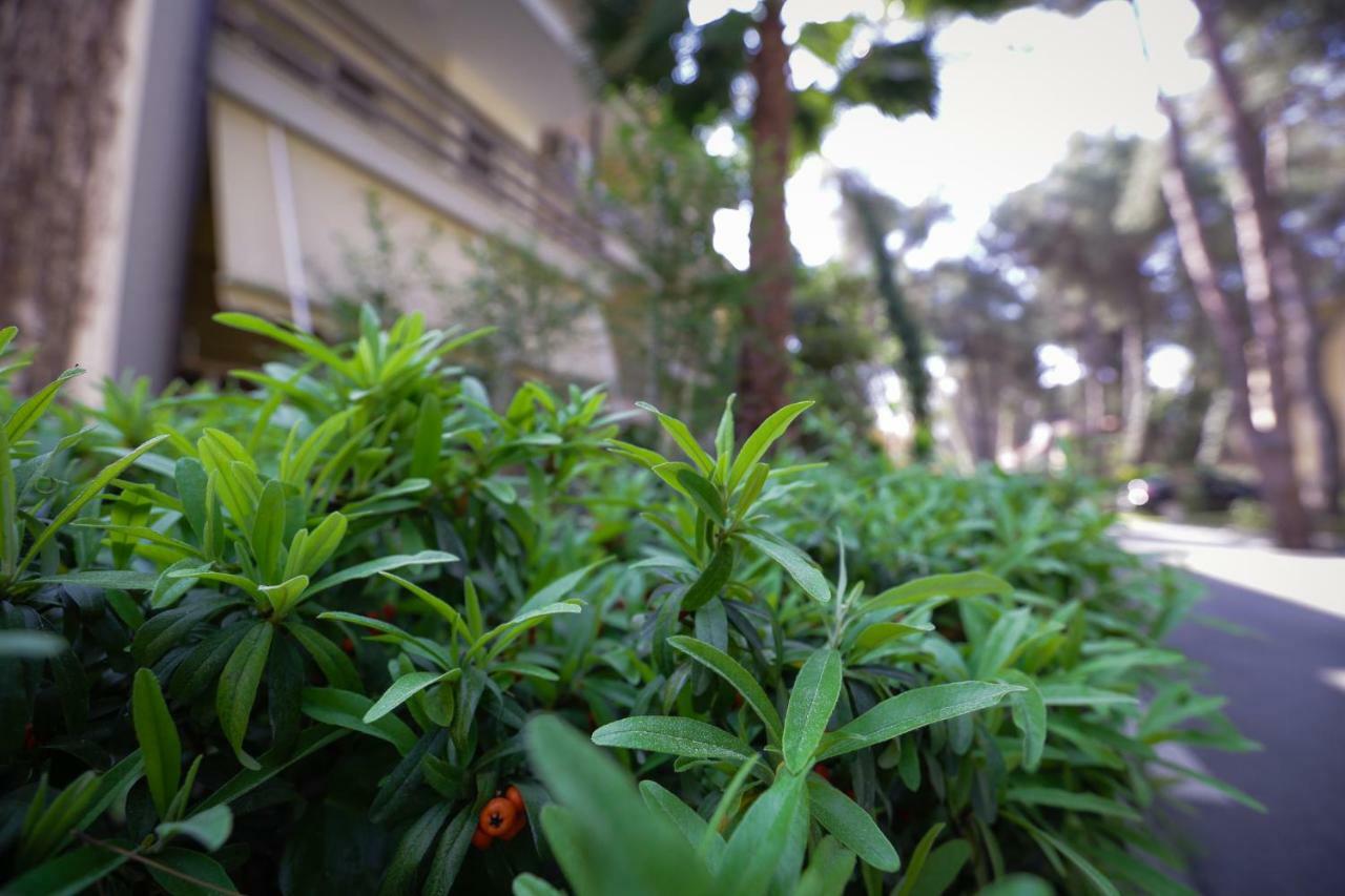 Pine-Tree Apt W/ Private Garden 50 M From The Sea Golem  Εξωτερικό φωτογραφία
