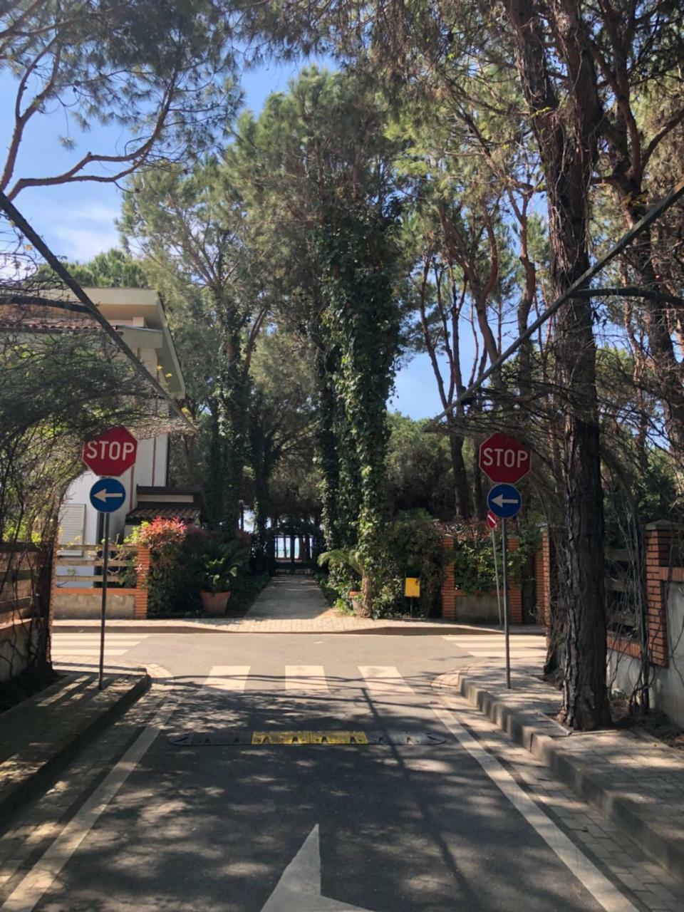 Pine-Tree Apt W/ Private Garden 50 M From The Sea Golem  Εξωτερικό φωτογραφία