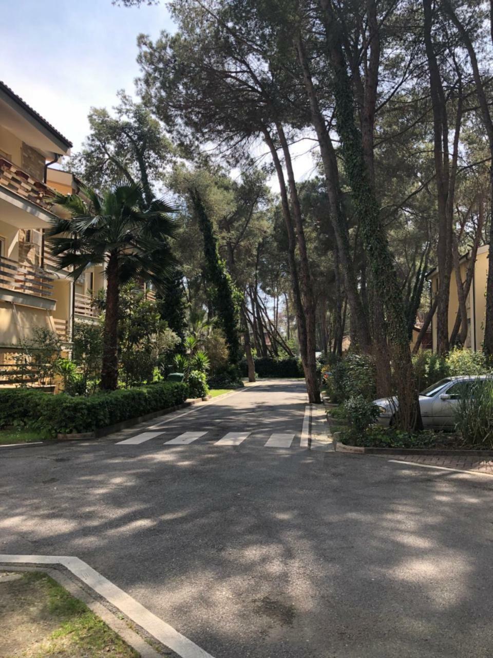 Pine-Tree Apt W/ Private Garden 50 M From The Sea Golem  Εξωτερικό φωτογραφία