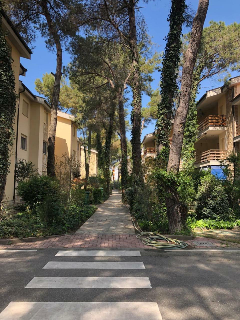 Pine-Tree Apt W/ Private Garden 50 M From The Sea Golem  Εξωτερικό φωτογραφία