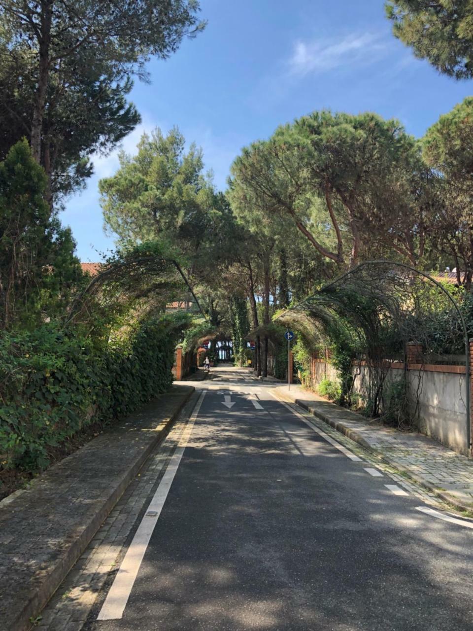 Pine-Tree Apt W/ Private Garden 50 M From The Sea Golem  Εξωτερικό φωτογραφία