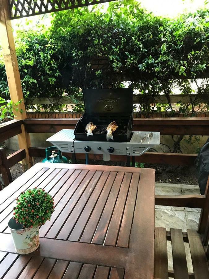Pine-Tree Apt W/ Private Garden 50 M From The Sea Golem  Εξωτερικό φωτογραφία